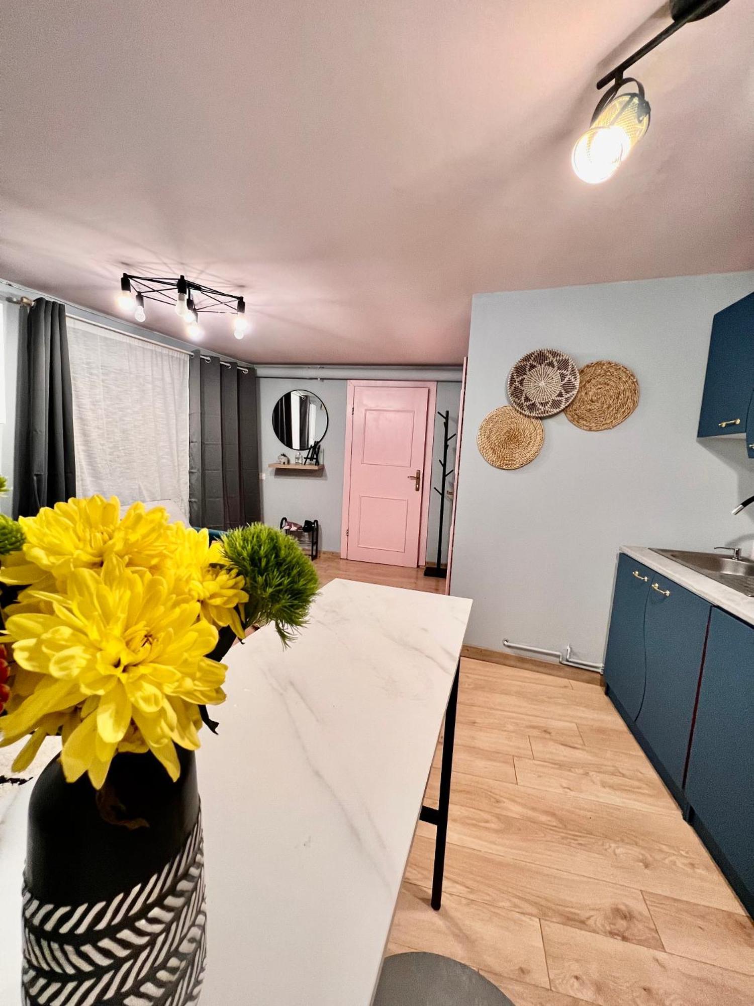 Old Town City Center Apartments Braşov Buitenkant foto